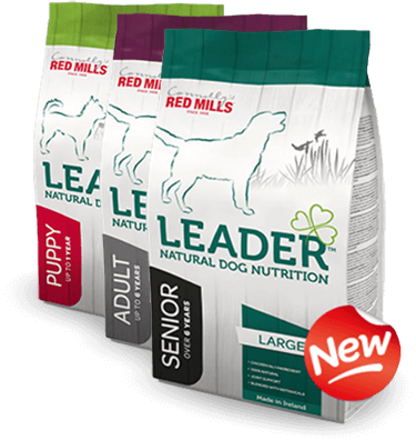 Leader