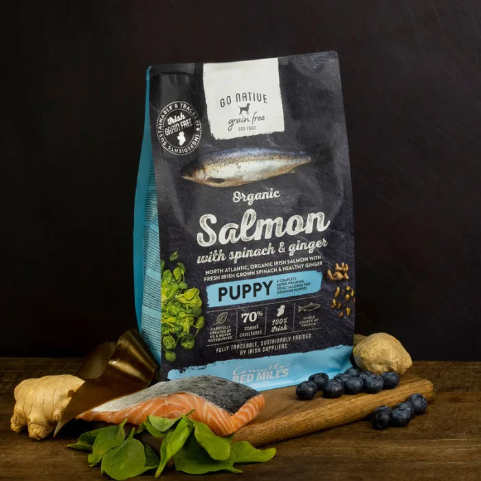 Go Native - Puppy Salmon with Spinach and Ginger