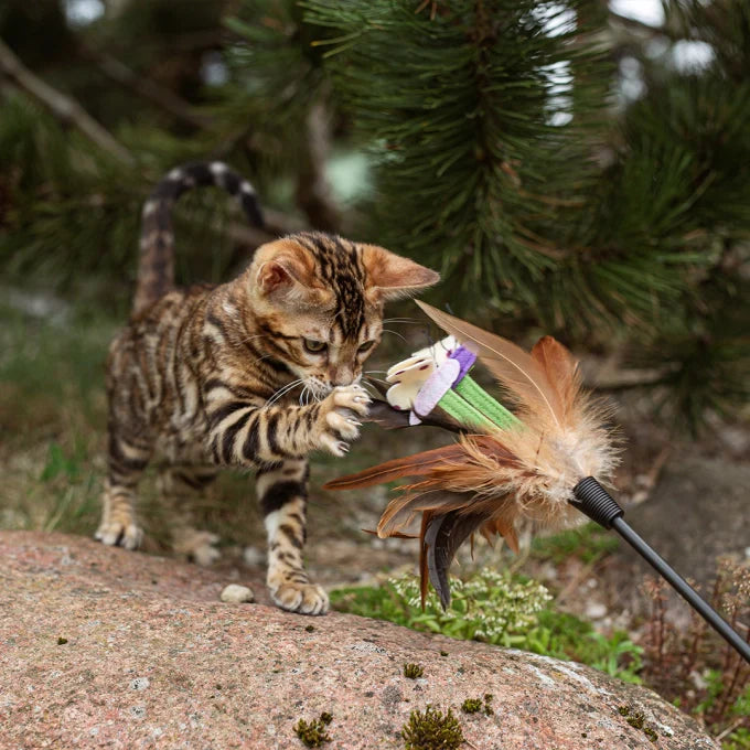 Nature's Protection - Kitty-milk milk replacer for kittens for bone development & healthy growth