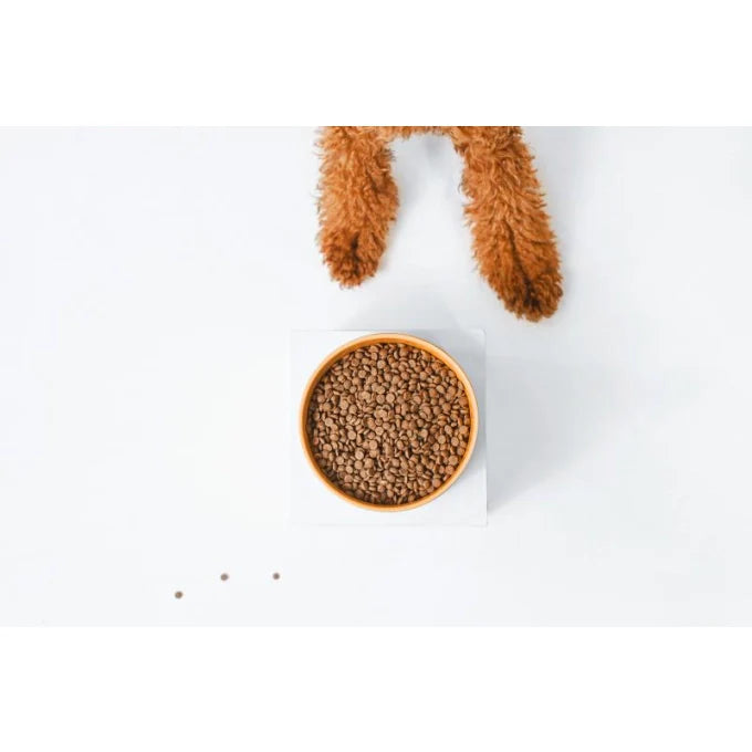 Nature’s Protection - Superior Care Red Coat Grain Free Salmon Junior Small Breed
