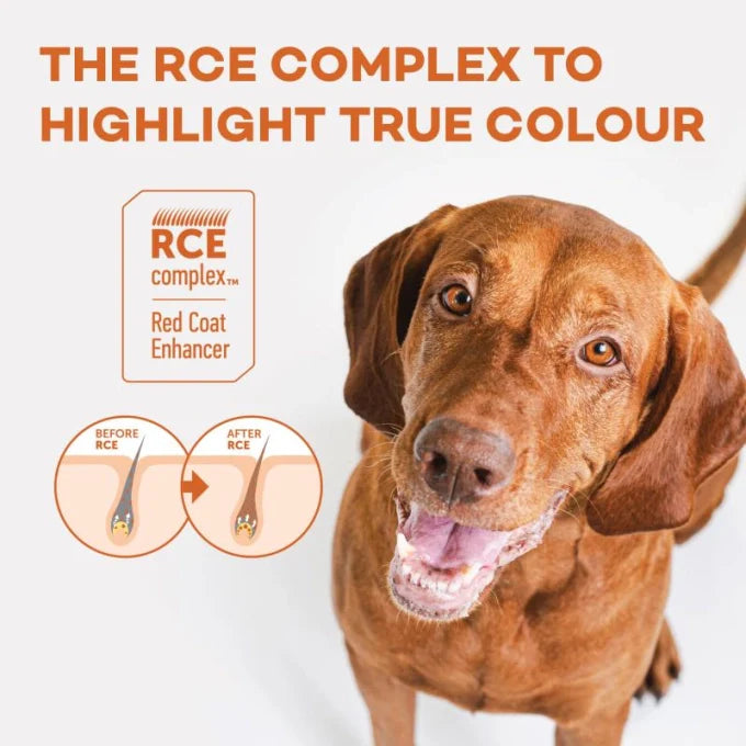 Nature’s Protection - Superior Care Red Coat Grain Free Salmon Adult All Breed