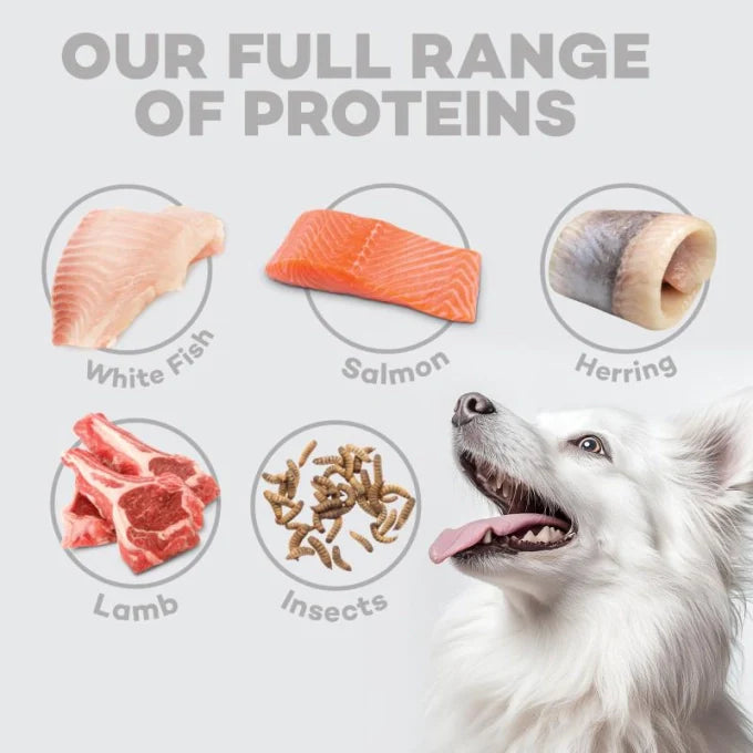 Nature's Protection - Superior Care White Dogs Lamb Adult Small and Mini Breeds
