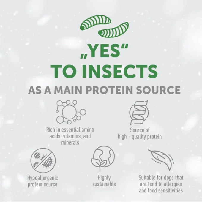 Nature’s Protection - Superior Care White Dogs Grain Free with Insect Adult Small Breed