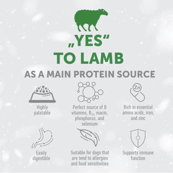 Nature’s Protection - Superior Care Red Coat Grain Free Lamb Adult All Breed