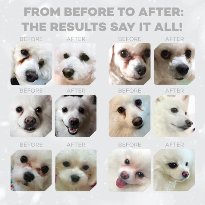 Nature’s Protection - Superior Care White Dogs Grain Free with Insect Adult Small Breed